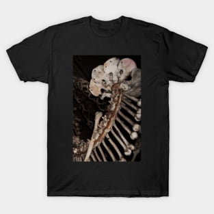 Bones T-Shirt